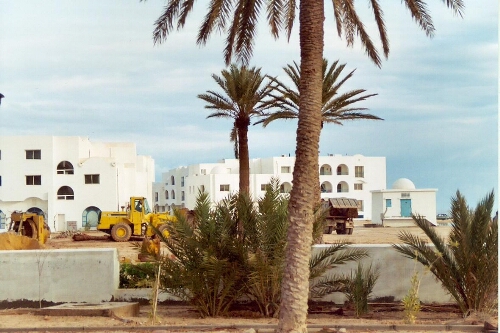 Bâtiments blancs en construction et palmiers
